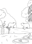 Планіть маленького полярного ведмедя Онлайн -забарвлення